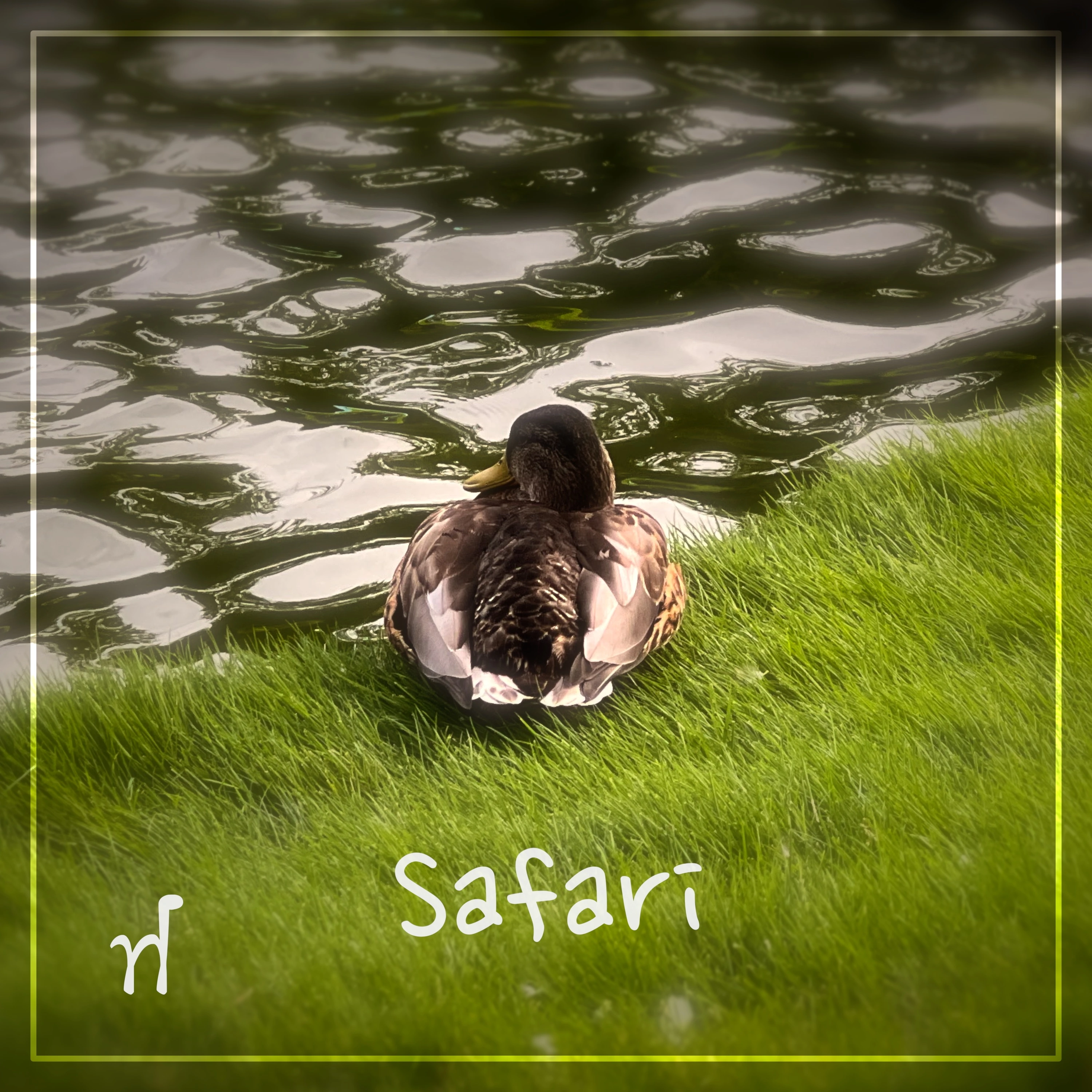 release_cover